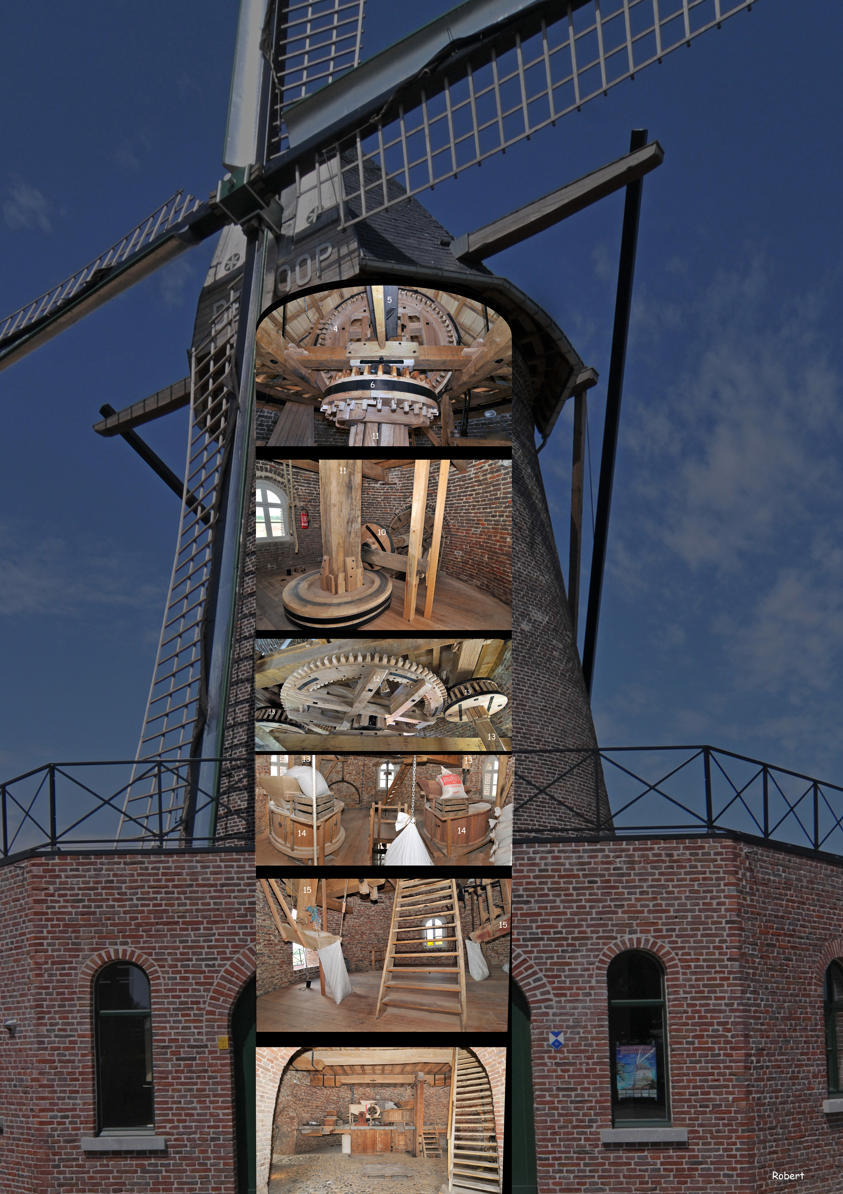 Molen Elen A3+